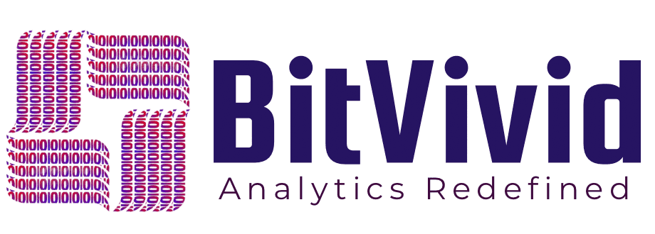 Bitvivid Solutions