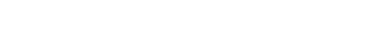 DIGITAL PETROLEUM
