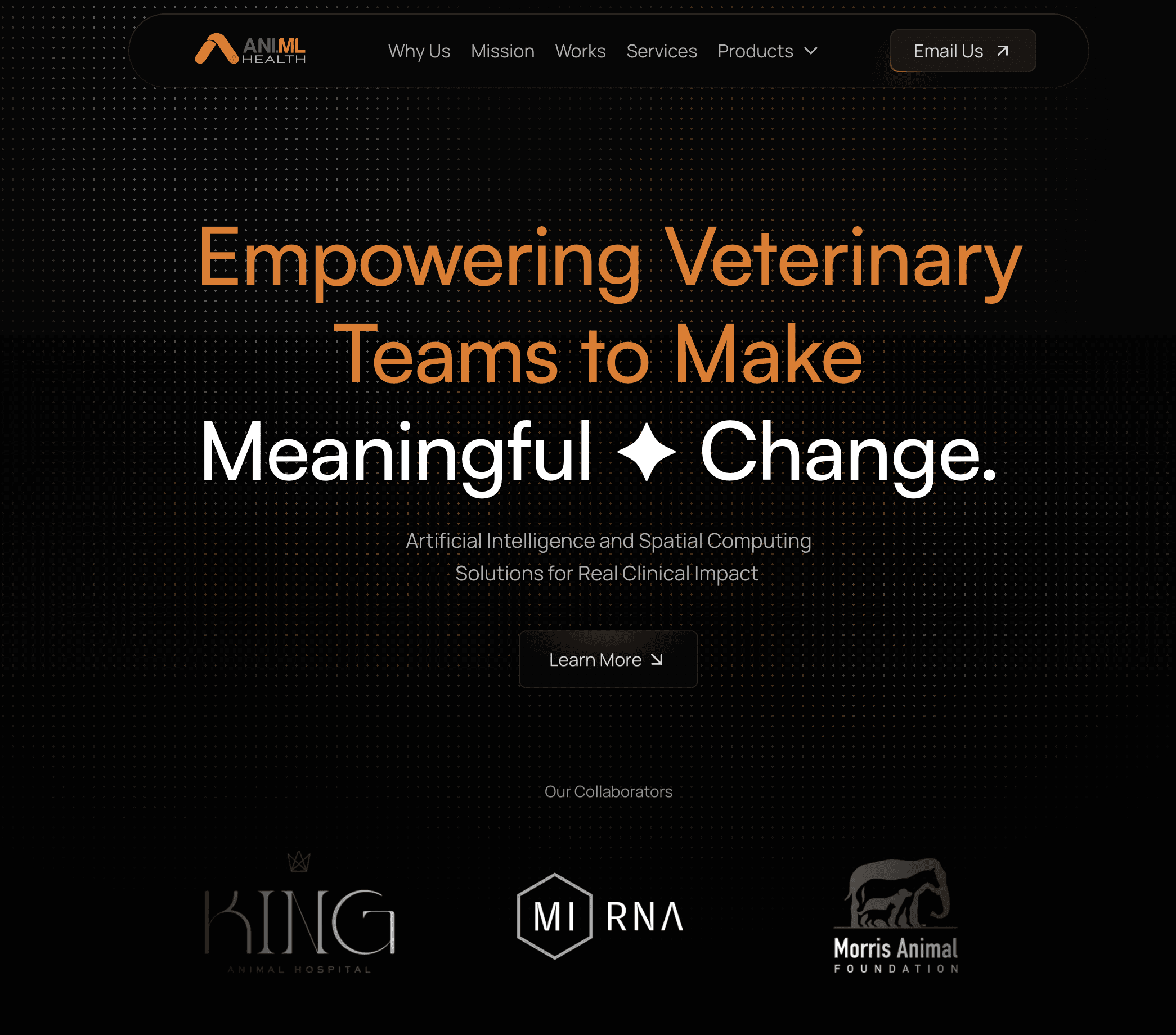 ANI.ML Health