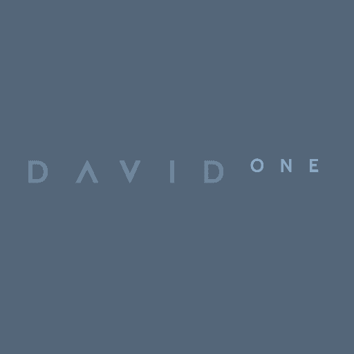 David One