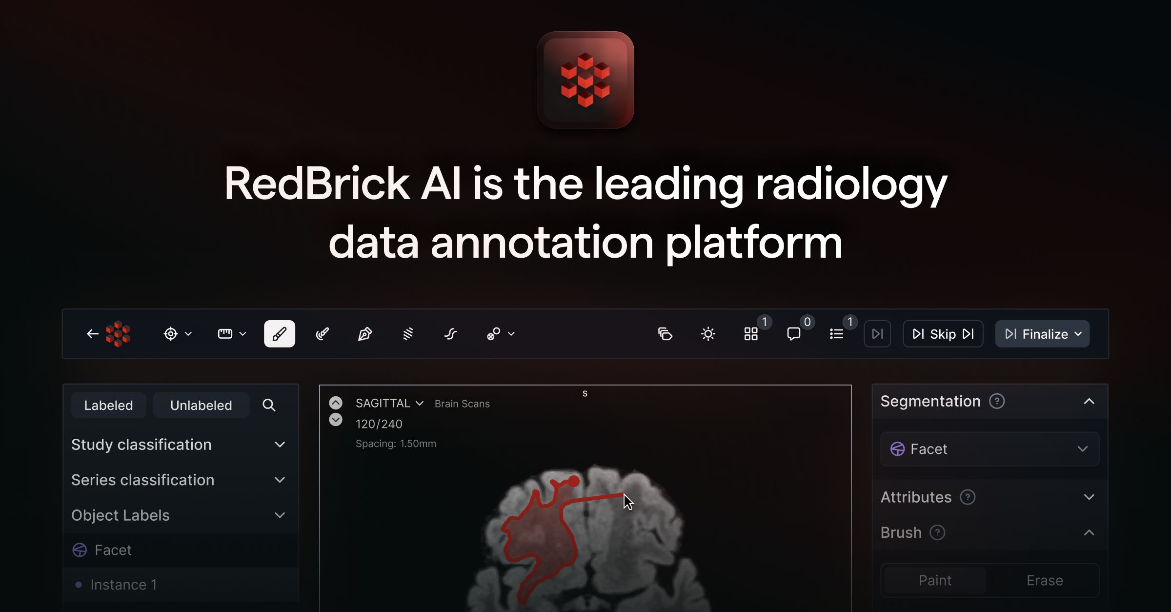 RedBrick AI