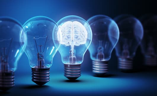 Thousand Brains Project