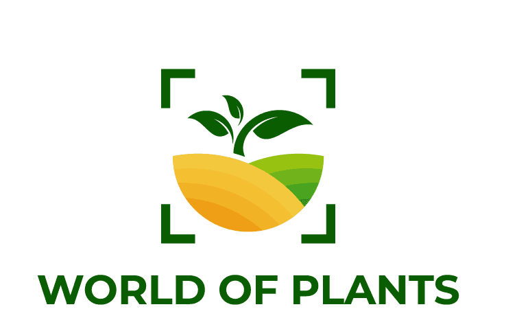 The world of plants