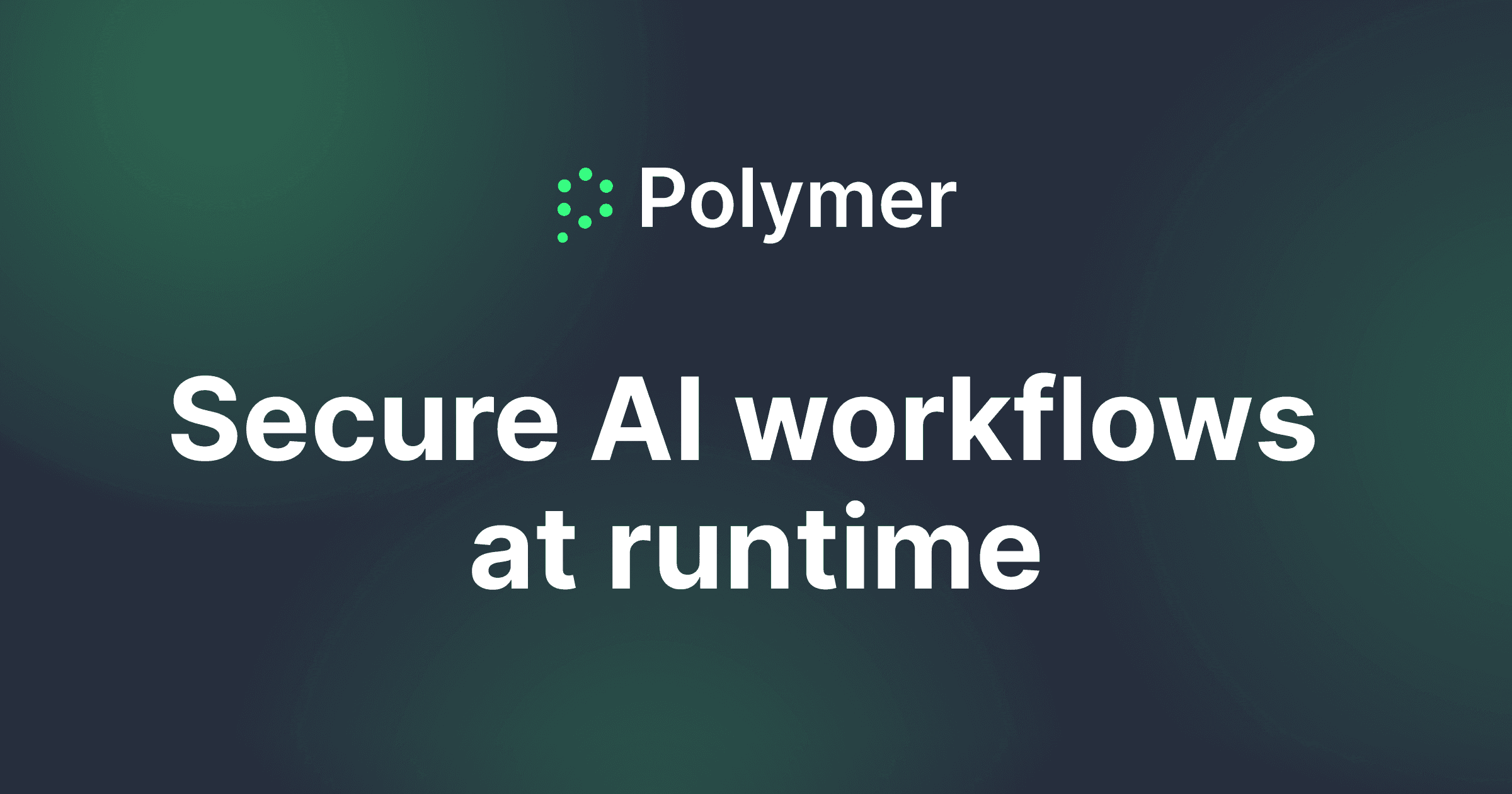Polymer Runtime Data Security V2.1